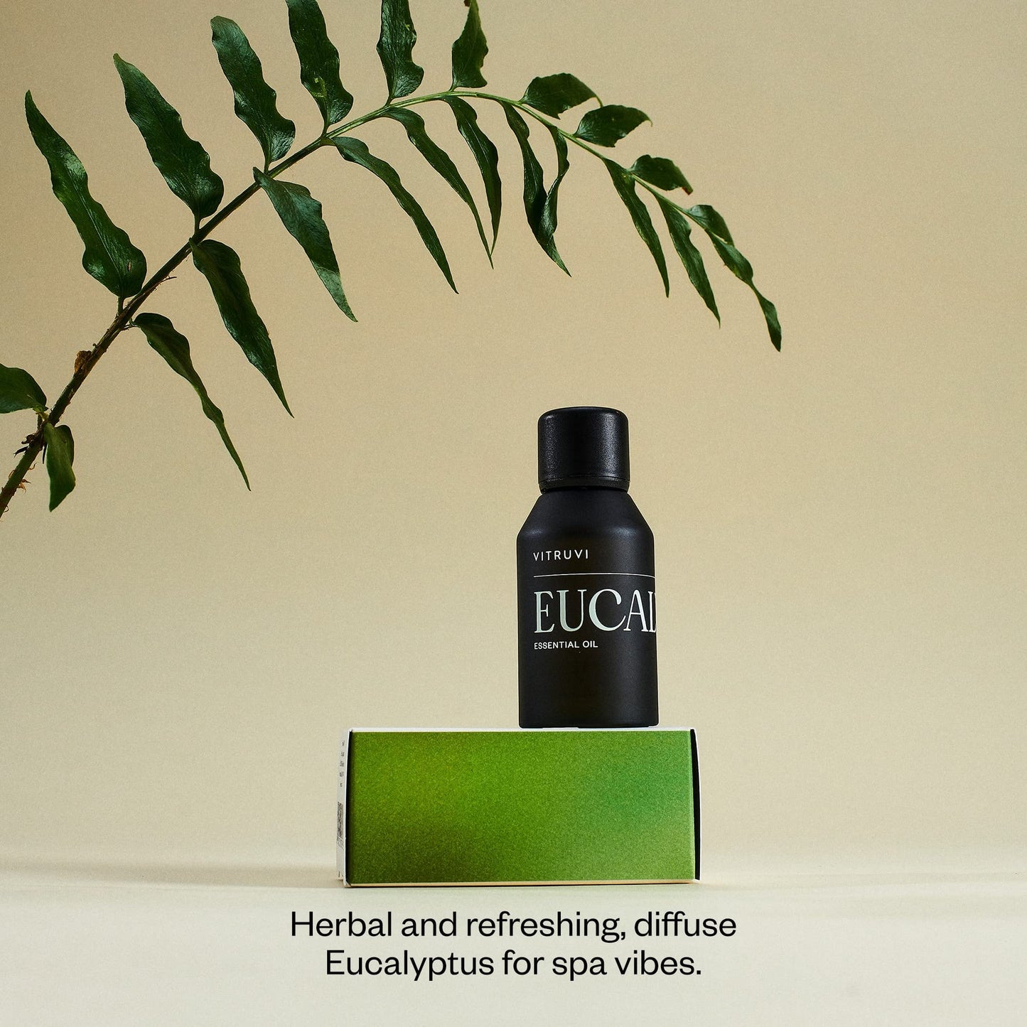 Vitruvi Eucalyptus Essential Oil – 100% Pure Premium (1.0 fl oz)