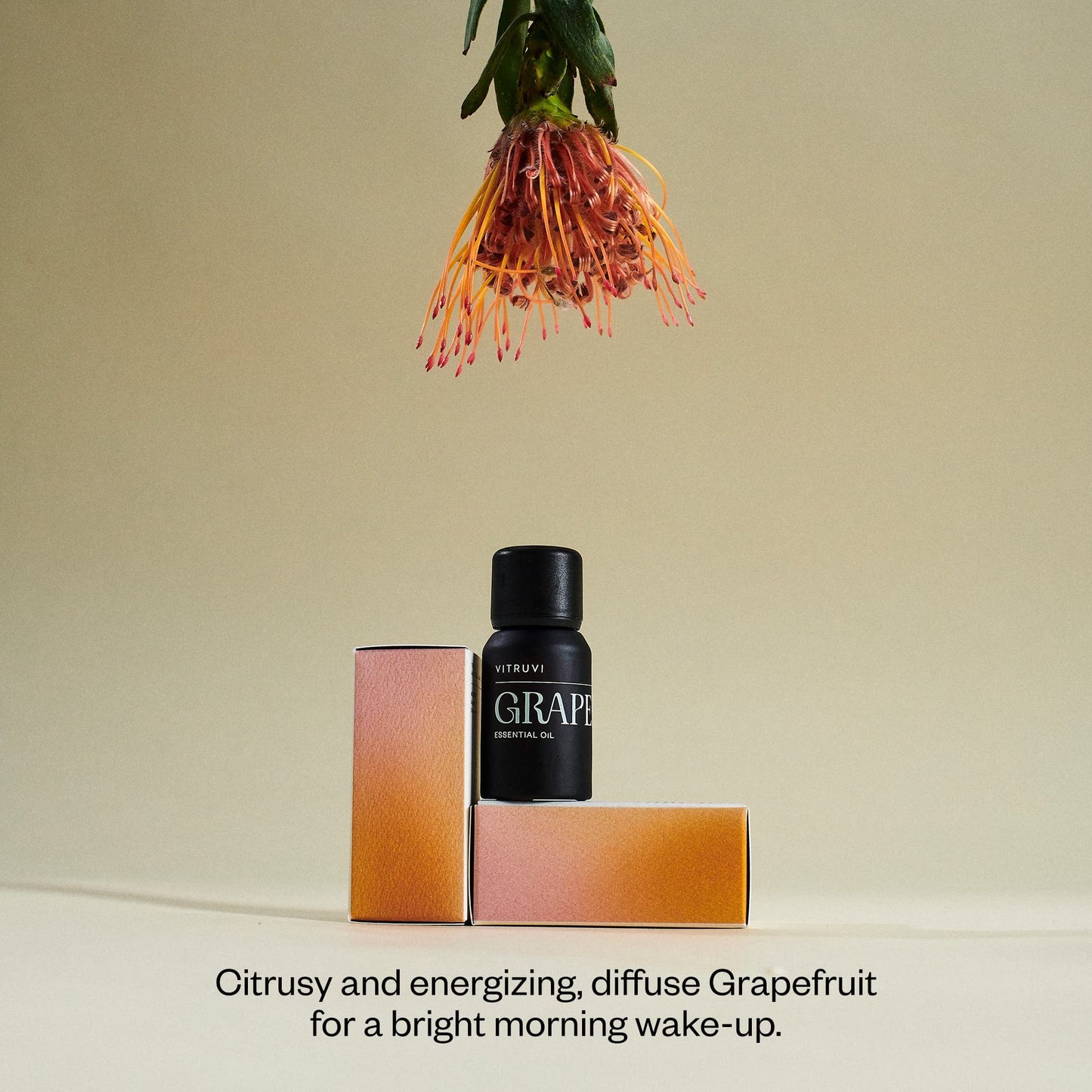Vitruvi Grapefruit Essential Oil – 100% Pure Premium (0.3 fl oz)