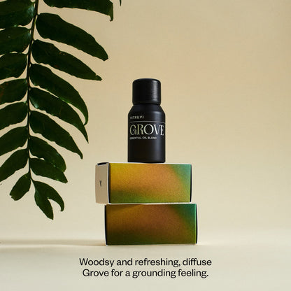 Vitruvi Grove Grounding Essential Oil Blend – 0.5 fl oz | Pine, Fir, Spruce & Cedarwood