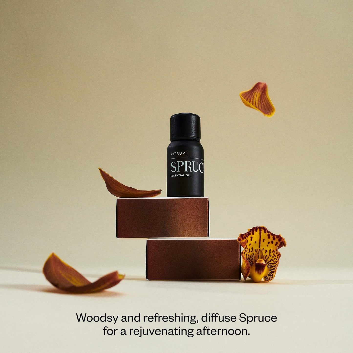 Vitruvi Spruce Essential Oil - 100% Pure, 10 ml (0.3 fl oz)