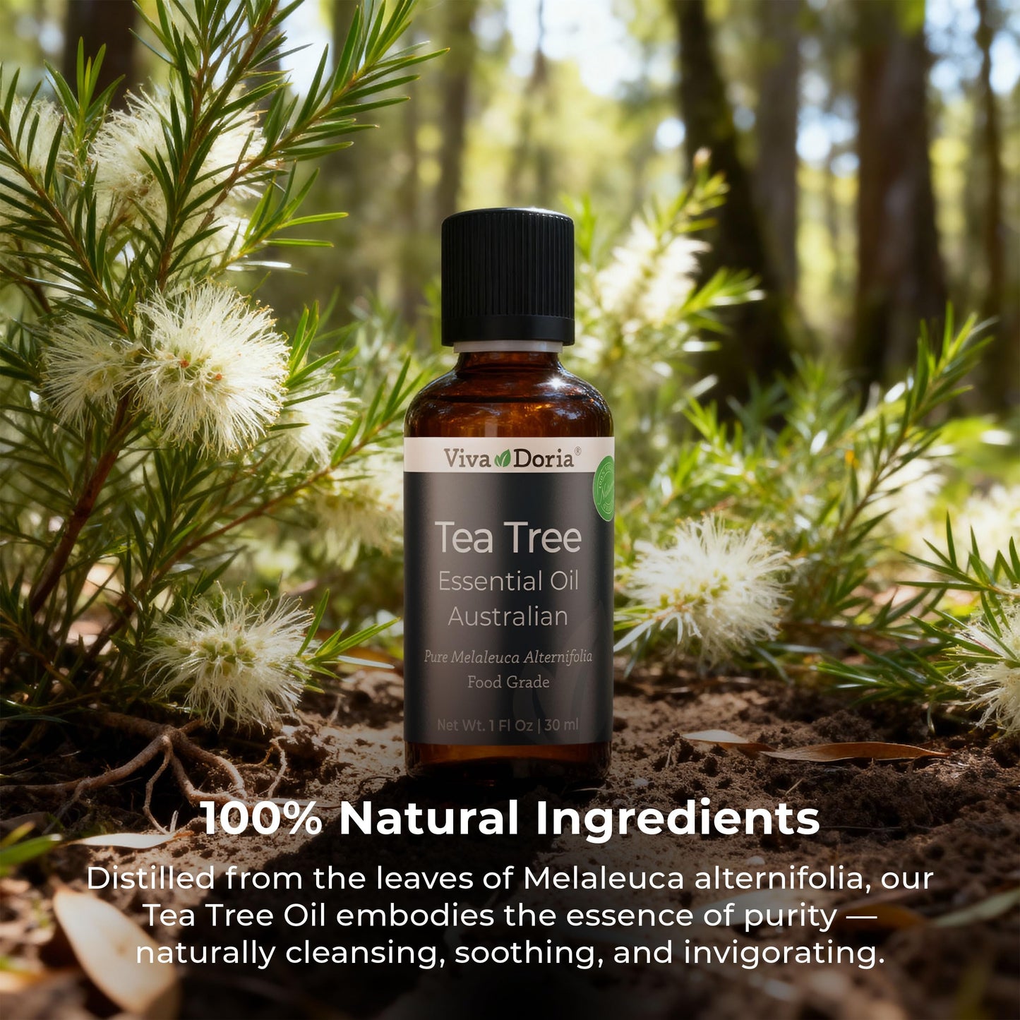 Viva Doria Tea Tree Oil 100% Pure – Australian Tea Tree Essential Oil, 30 ml