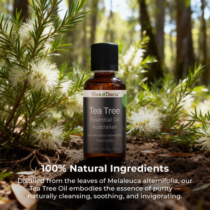 Viva Doria Tea Tree Oil 100% Pure – Australian Tea Tree Essential Oil, 30 ml