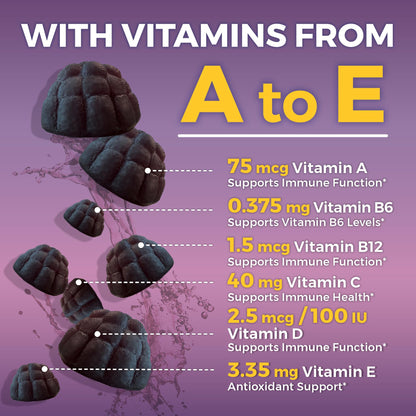 Viva Naturals Sugar-Free Sambucus Elderberry Gummies for Kids - 8-in-1 Immune Support | Vitamin C & Zinc | Vegan & Gluten-Free (120 count)