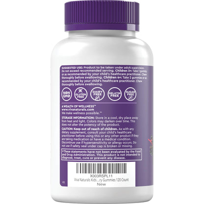 Viva Naturals Sugar-Free Sambucus Elderberry Gummies for Kids - 8-in-1 Immune Support | Vitamin C & Zinc | Vegan & Gluten-Free (120 count)