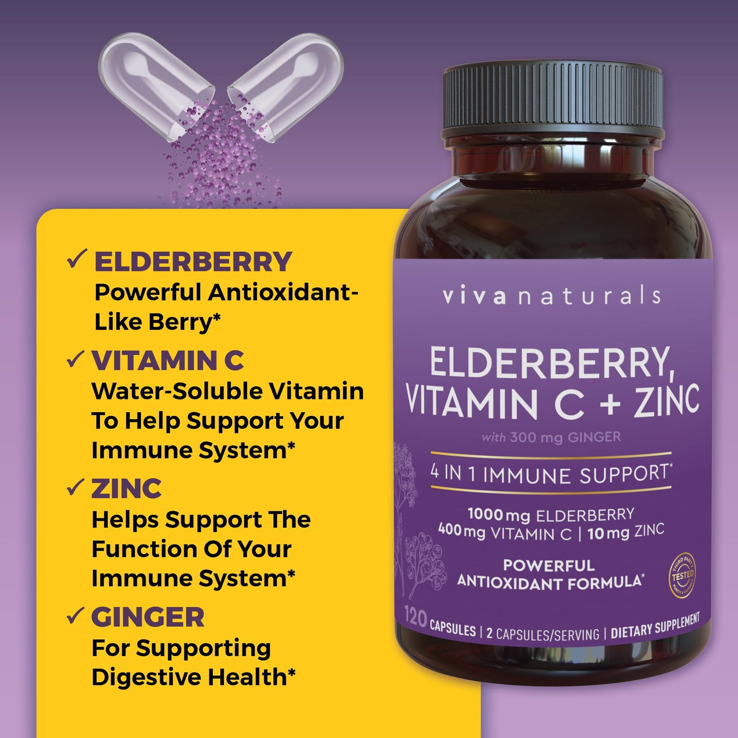 Viva Naturals Elderberry with Vitamin C and Zinc (120 Capsules) - 1000mg Sambucus Elderberry Immune Support Supplement, Black Elderberry Capsules for Adults - 2 Months Supply