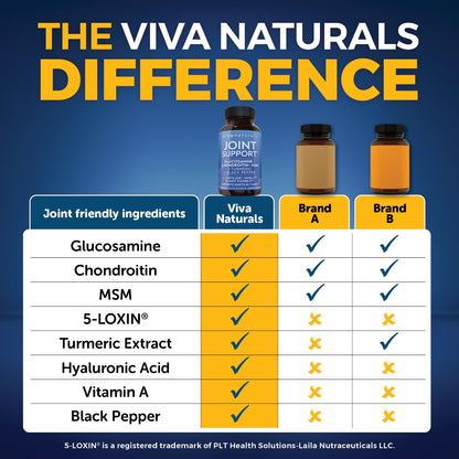 Viva Naturals Glucosamine Chondroitin MSM - 90 Capsules | Joint Health Support