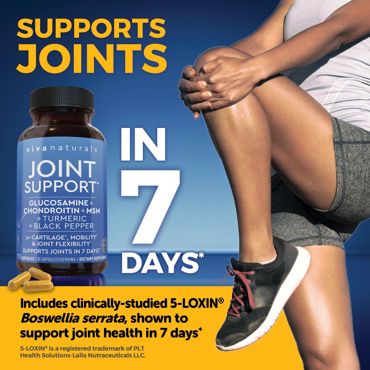 Viva Naturals Glucosamine Chondroitin MSM - 90 Capsules | Joint Health Support