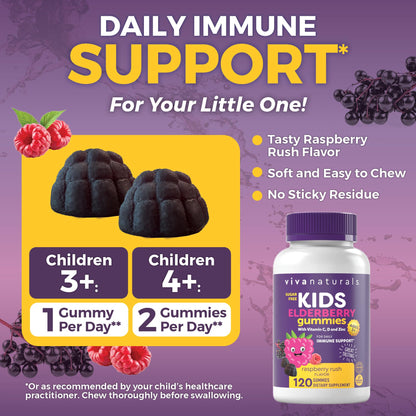 Viva Naturals Sugar-Free Sambucus Elderberry Gummies for Kids - 8-in-1 Immune Support | Vitamin C & Zinc | Vegan & Gluten-Free (120 count)