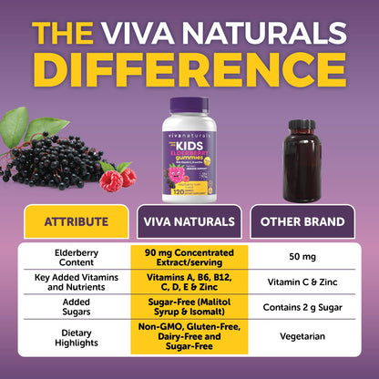 Viva Naturals Sugar-Free Sambucus Elderberry Gummies for Kids - 8-in-1 Immune Support | Vitamin C & Zinc | Vegan & Gluten-Free (120 count)