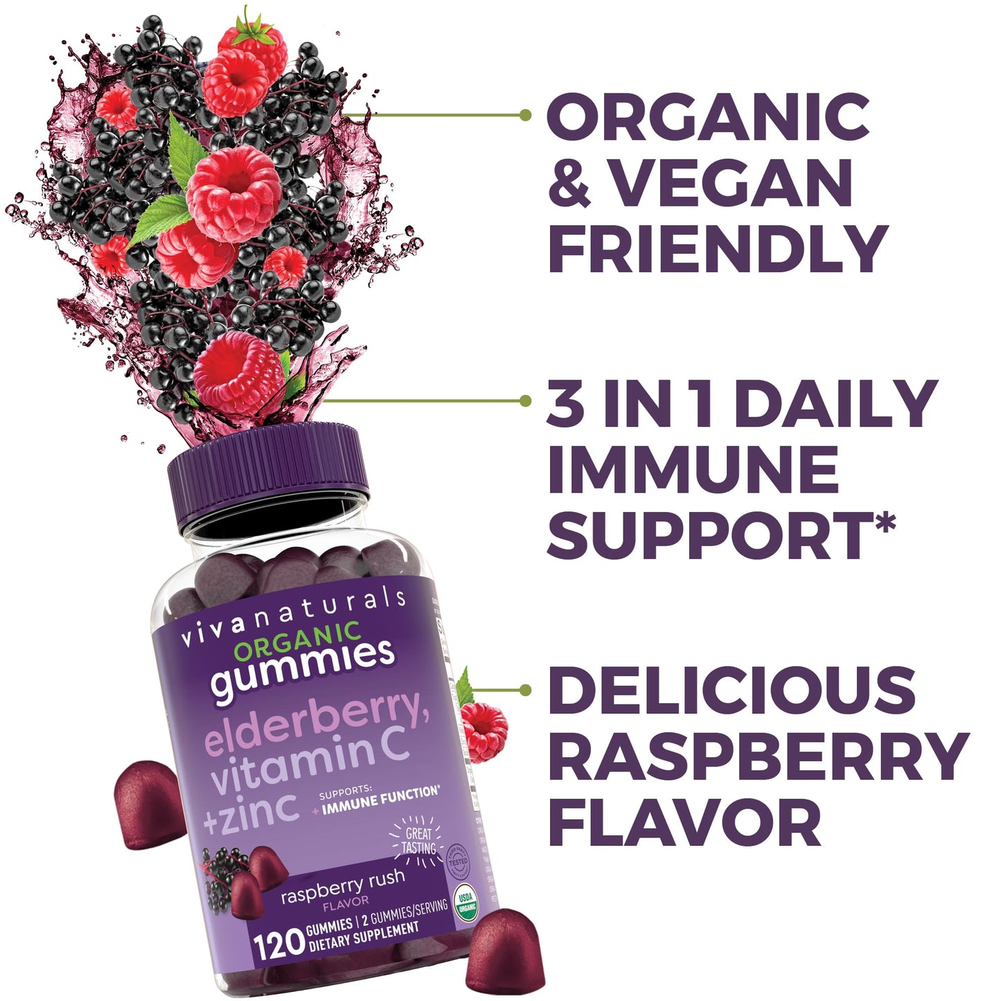 Viva Naturals Sambucus Elderberry Gummies for Adults – 120 Count | Immune Support