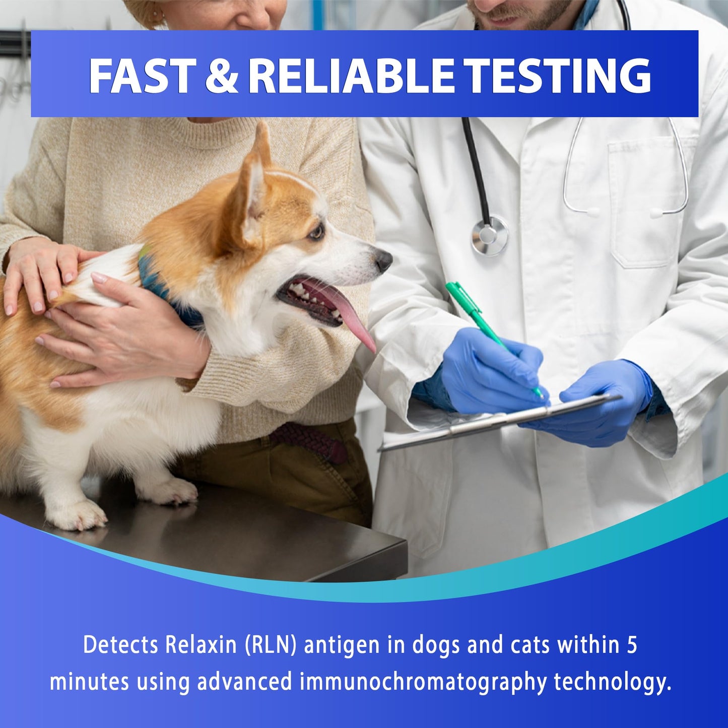 Vivometra Dog & Cat Pregnancy Test Kit – 2 Tests at Home (Relaxin)