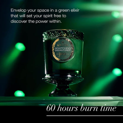 Voluspa Wicked Collection Elphaba Bewitching Banyan Forest Candle – 8.5 oz