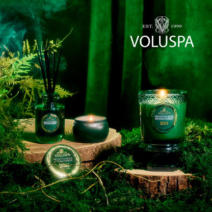Voluspa Wicked Collection Elphaba Bewitching Banyan Forest Candle – 8.5 oz