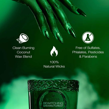 Voluspa Wicked Collection Elphaba Bewitching Banyan Forest Candle – 8.5 oz