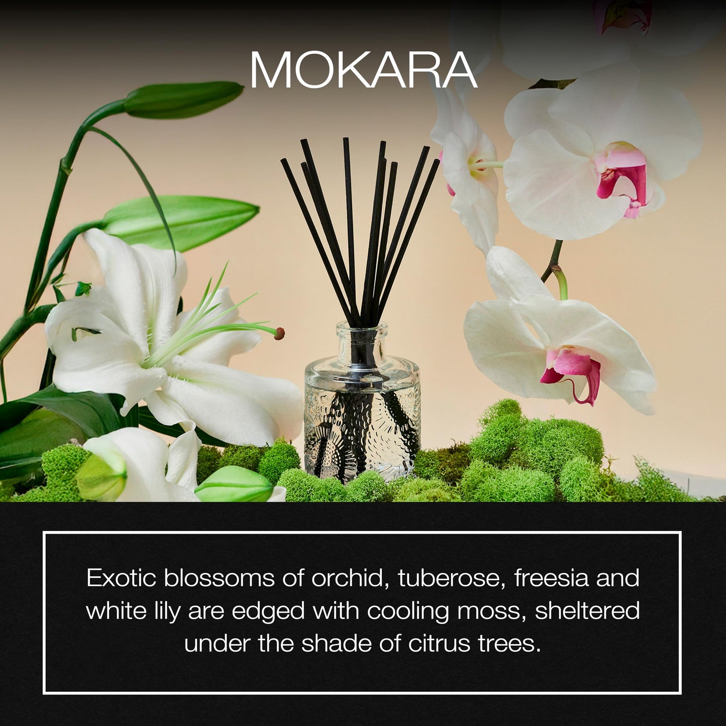 Voluspa Mokara Scented Reed Diffuser | 3.4 oz Luxury Orchid Diffuser | Handcrafted in the USA