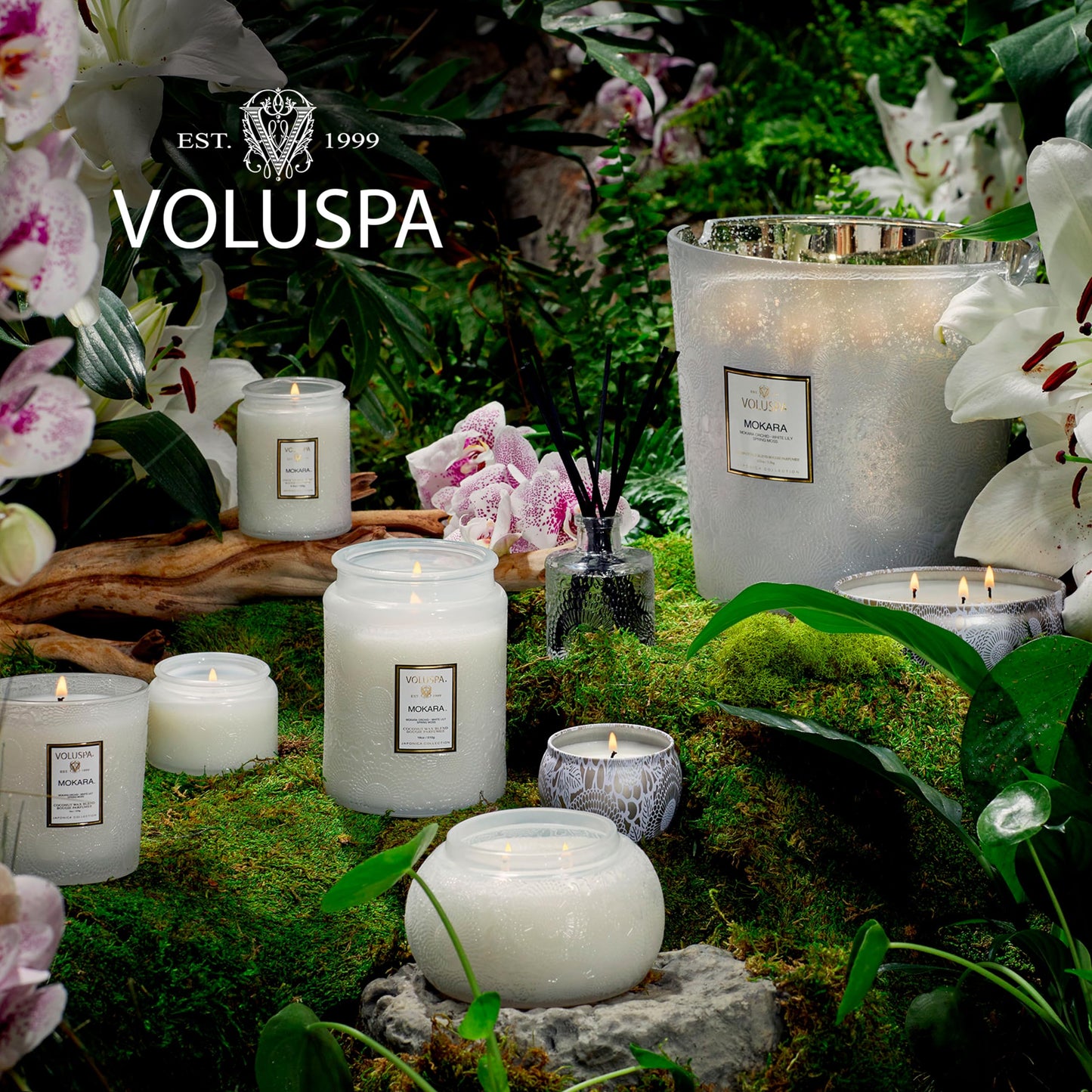 Voluspa Mokara Scented Reed Diffuser | 3.4 oz Luxury Orchid Diffuser | Handcrafted in the USA