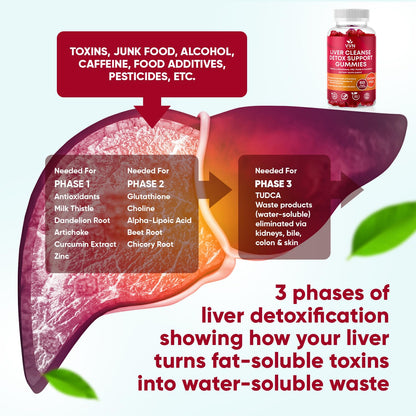 VVNaturals Sugar-Free 26-in-1 Liver Detox Gummies | Fatty Liver Repair - 60 Vegan Count
