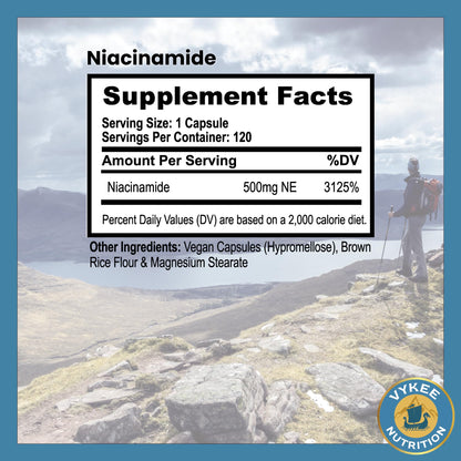 Vykee Nutrition Niacinamide Capsules – 500mg High-Potency Vitamin B3 | Vegan, Non-GMO | Supports Energy Metabolism, Skin Health & Cellular Repair | 120 Capsules