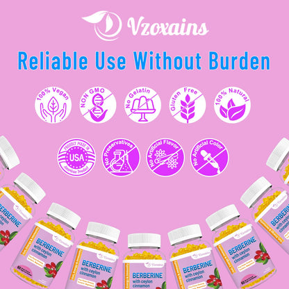 VZOXAINS Berberine with Ceylon Cinnamon Gummies – High Potency Berberine HCl, Immune Health Support, 120 Mango Gummies