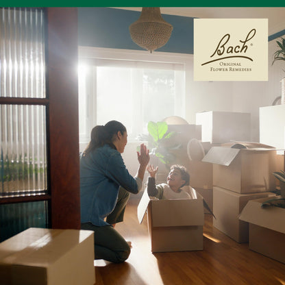 Walnut Bach Original Flower Remedies | Adapt to Change & Emotional Balance, 20mL Dropper