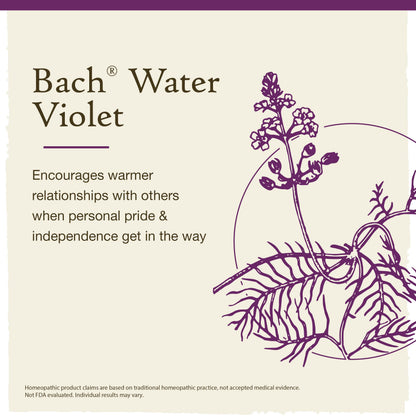 Water Violet Bach Original Flower Remedies - Connect with Others - 20mL Dropper - Vegan, Gluten Free