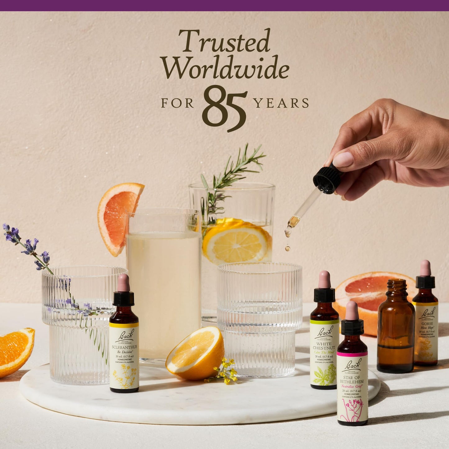 Bach Water Violet Flower Remedy – Connect with Others | 20mL Dropper