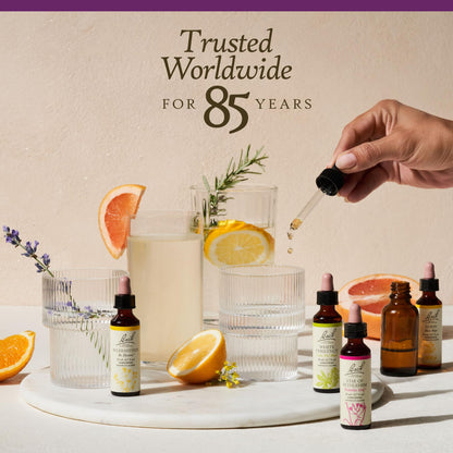 Bach Water Violet Flower Remedy – Connect with Others | 20mL Dropper