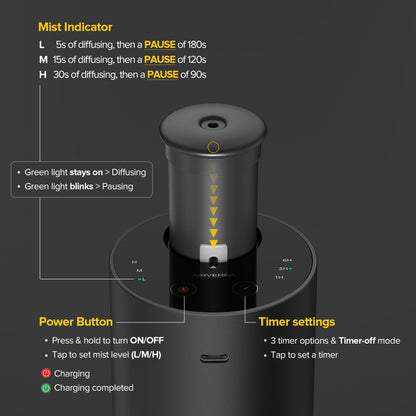 Waterless Essential Oil Diffuser 2 Pack – 3 Mist Levels, Timers, Black & Gold