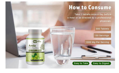 WAY 4 ORGANIC W4O Amla Fruit Extract Capsules (Tablets) - 300 Pills, 150 Servings, 1000 mg, Amalaki Fruit (Pack of 2)