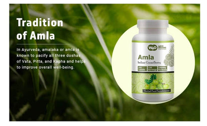 WAY 4 ORGANIC W4O Amla Fruit Extract Capsules (Tablets) - 300 Pills, 150 Servings, 1000 mg, Amalaki Fruit (Pack of 2)