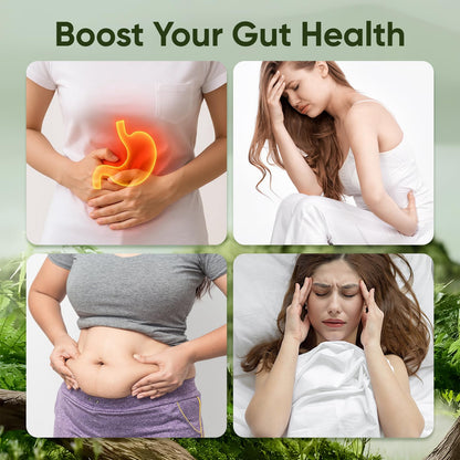 WDVNEX DGL Gummies 400 mg – Supports Stomach & Digestion (Berry, 60 Gummies)