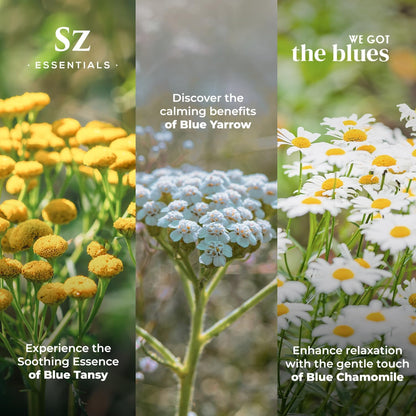 Sz Essentials – “We Got The Blues” Essential Oils Set – Blue Tansy, Yarrow & German Chamomile – 3 x 6.5ml Bottles – 100% Pure, Natural, Undiluted – Therapeutic Grade & Vegan