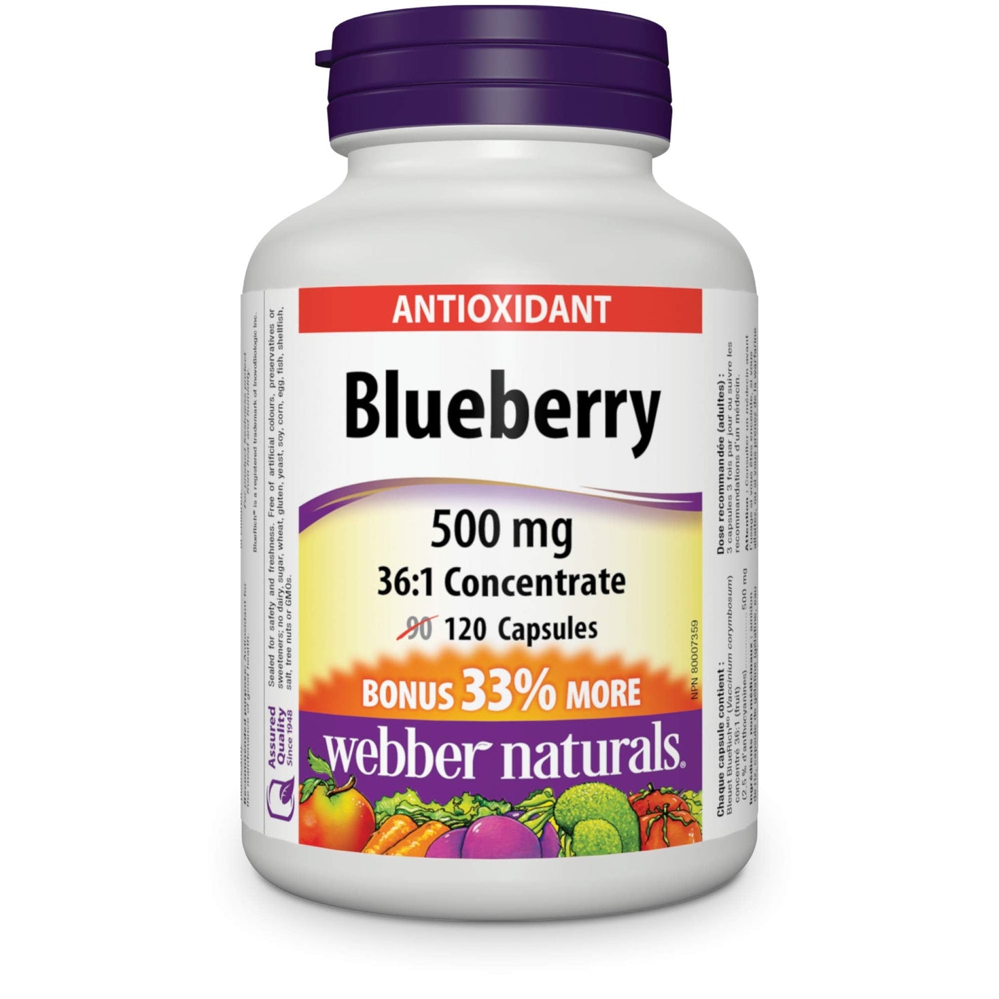 Webber Naturals Blueberry 36:1 Concentrate Capsule 500 mg | 120 Capsules