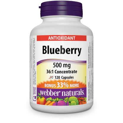Webber Naturals Blueberry 36:1 Concentrate Capsule 500 mg | 120 Capsules