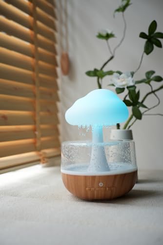 Weljoy Zen Raining Cloud Night Light Diffuser – Aromatherapy Humidifier (White)
