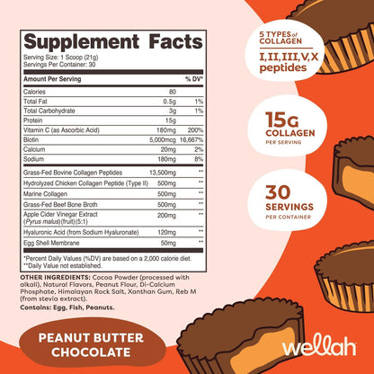 Wellah The Afterglow Multi Collagen Protein + Beauty – Peanut Butter Chocolate (30 Servings)