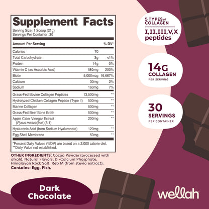 Wellah The Afterglow Multi Collagen Protein + Beauty (Dark Chocolate Flavored) 30 Servings