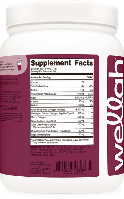 Wellah The Afterglow Multi Collagen Protein + Beauty (Dark Chocolate Flavored) 30 Servings