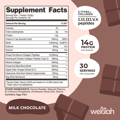 Wellah The Afterglow Multi Collagen Protein + Beauty – Chocolate, 30 Servings | Hair, Skin & Joints