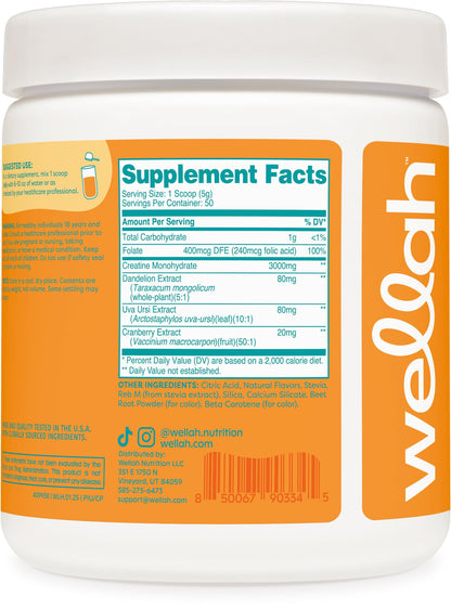 Wellah Creatine for Women – 50 Servings Clementine Peach | Creatine Monohydrate with Dandelion & Cranberry Extract