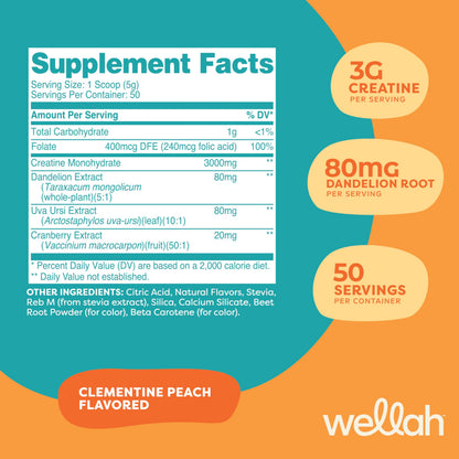 Wellah Creatine for Women – 50 Servings Clementine Peach | Creatine Monohydrate with Dandelion & Cranberry Extract