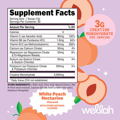 Wellah Creatine + Hydration Powder (White Peach Nectarine) 30 Servings – Electrolyte Drink Mix with 3g Creatine Monohydrate
