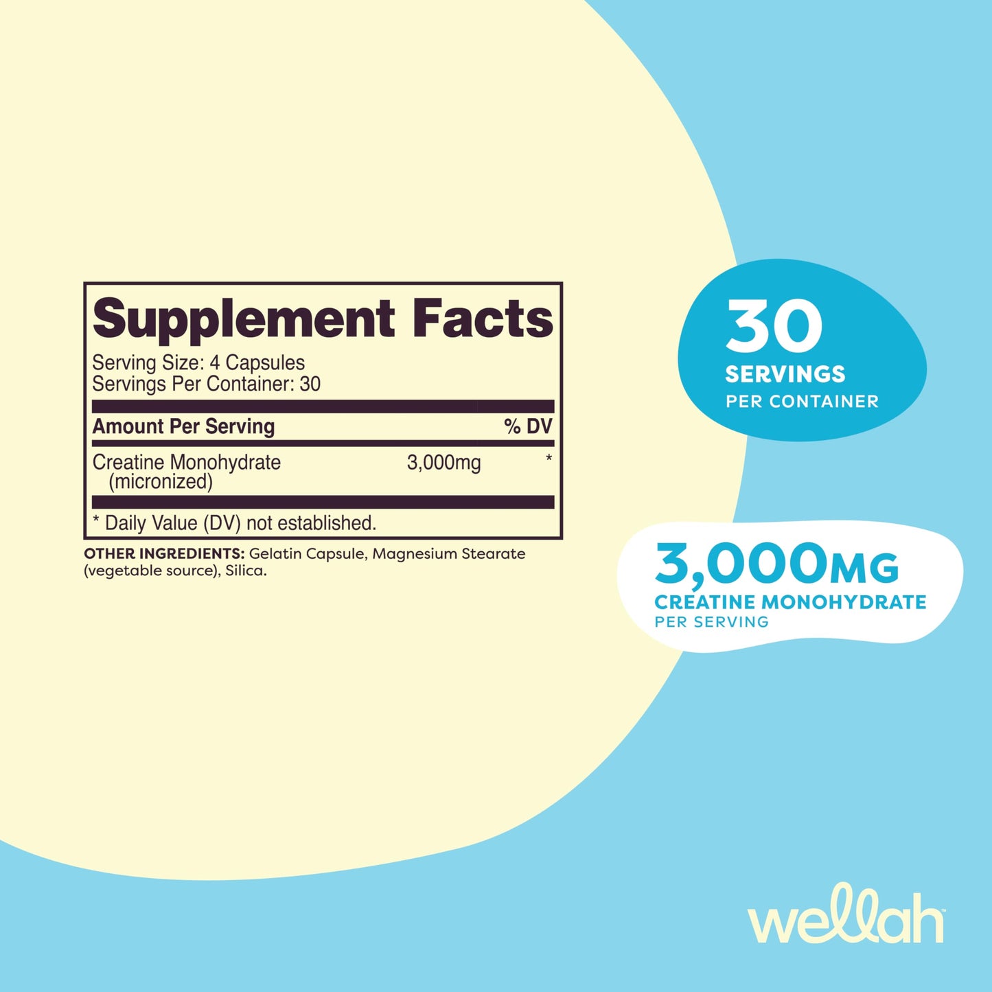 Wellah Creatine Monohydrate Capsules (3000 mg) - 120 Capsules | Micronized Creatine, 30 Servings