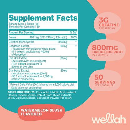 Wellah Creatine for Women (50 Servings, Watermelon Slush) – Creatine Monohydrate with Dandelion & Cranberry Extract