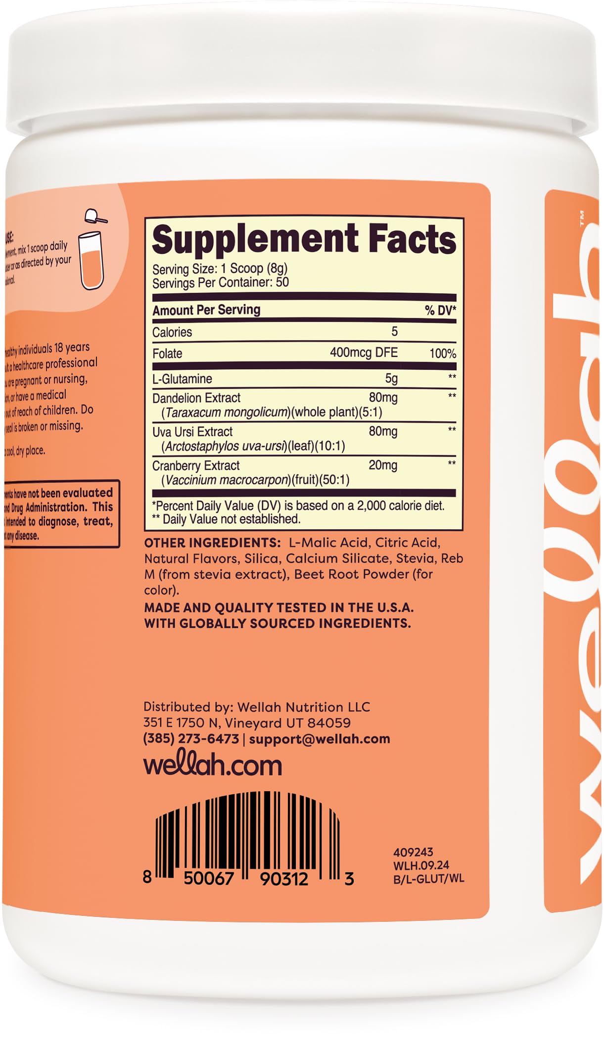 Wellah L-Glutamine Powder Watermelon Lime 50 Servings (5g per Serving)