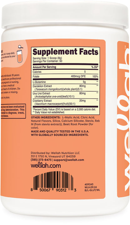 Wellah L-Glutamine Powder Watermelon Lime 50 Servings (5g per Serving)