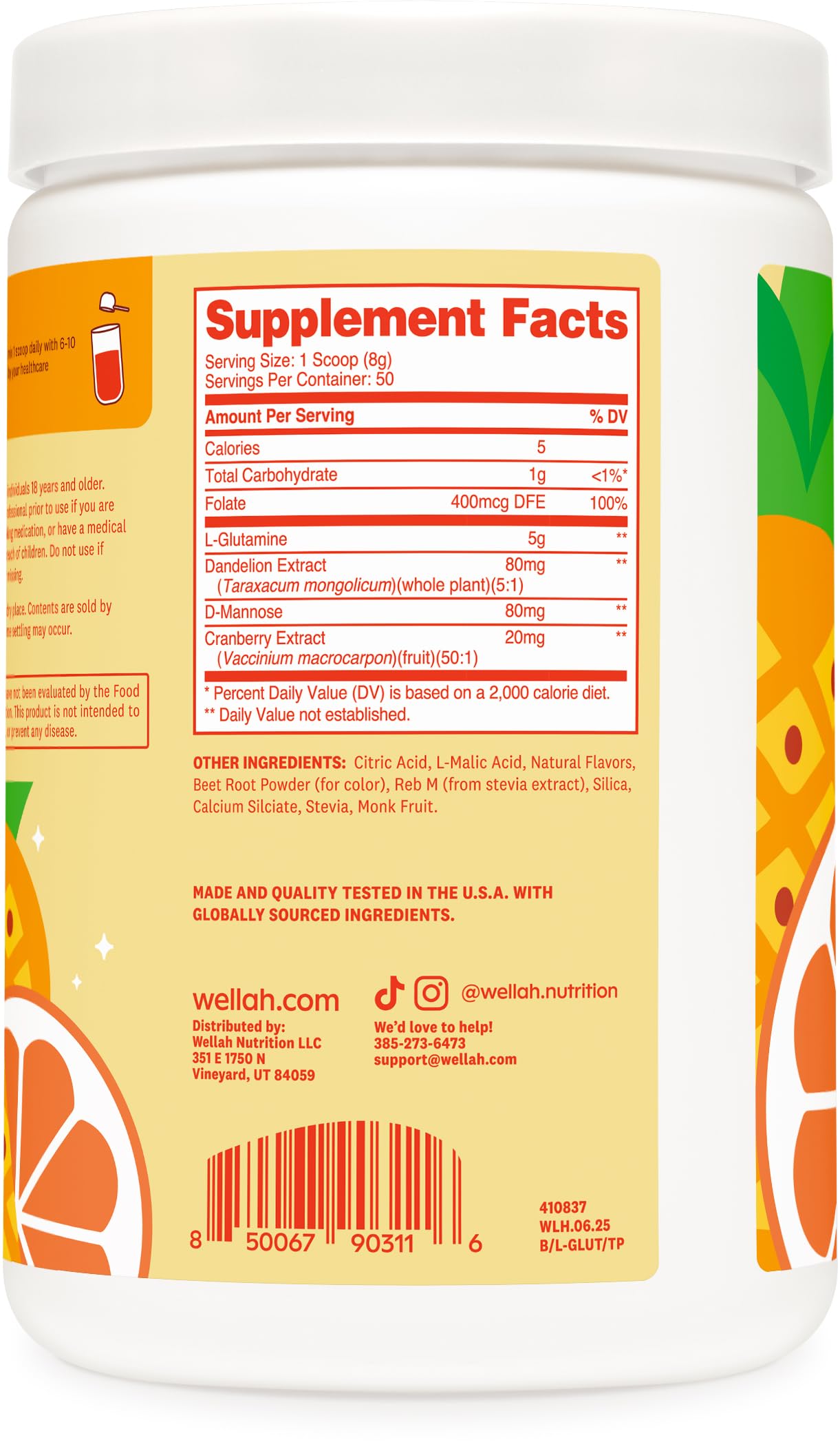 Wellah L-Glutamine Powder Tropical Punch – 50 Servings | 5g per Serving, Stevia