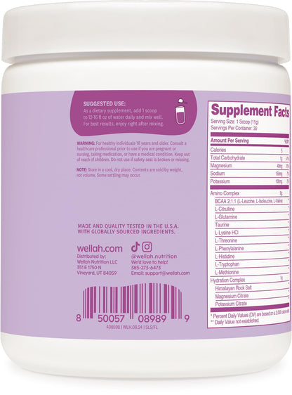 Wellah So Long Soreness BCAA Powder - Frozen Lemonade (30 Servings) with Hydration Complex