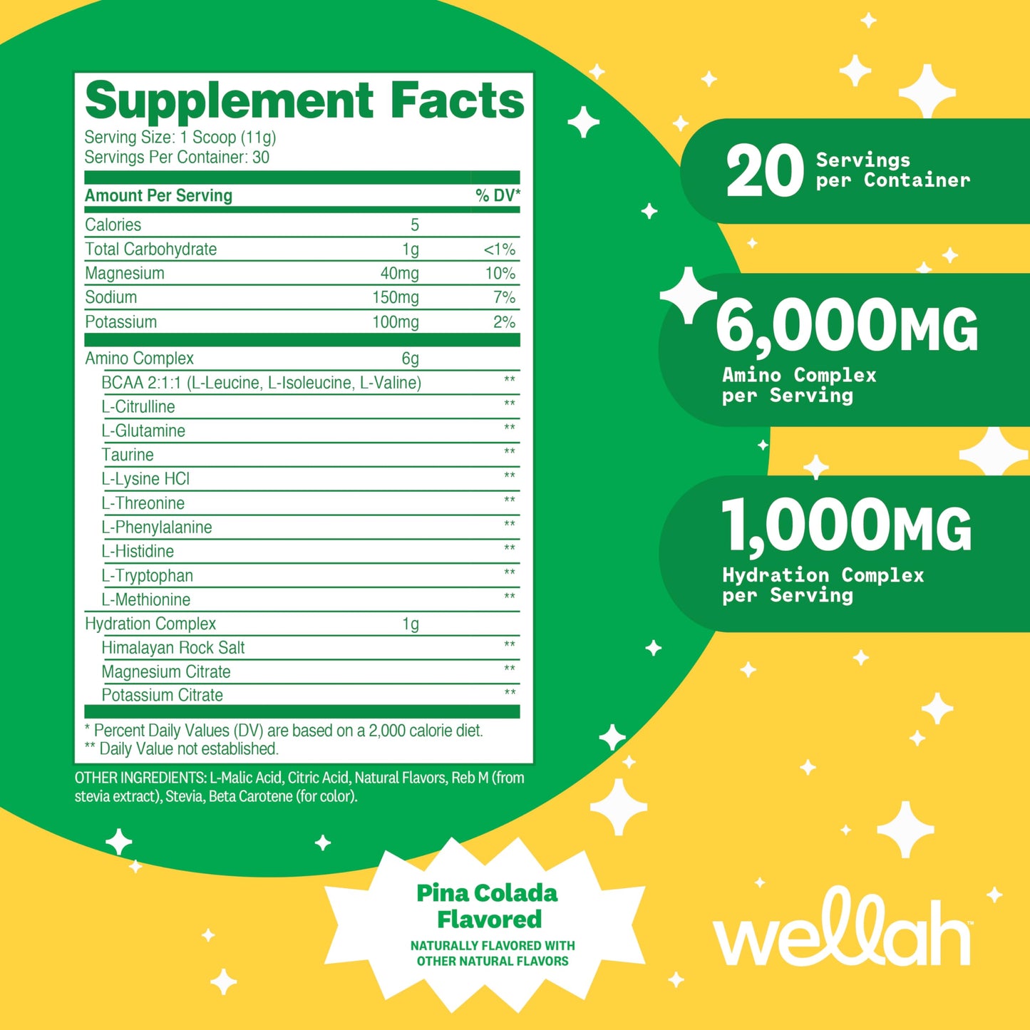 Wellah So Long Soreness BCAA Powder – Pina Colada, 30 Servings (Hydration Complex)