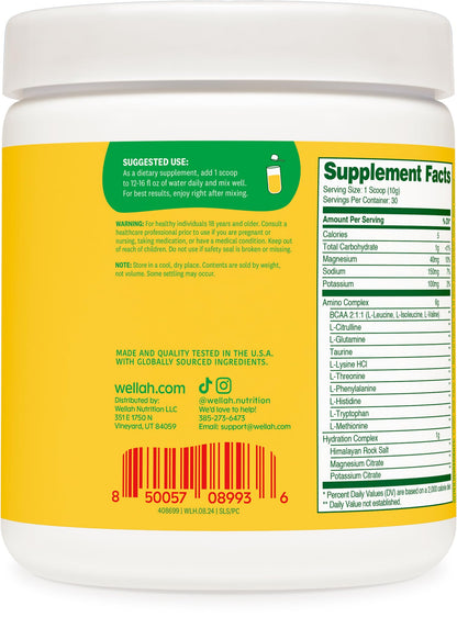 Wellah So Long Soreness BCAA Powder – Pina Colada, 30 Servings (Hydration Complex)